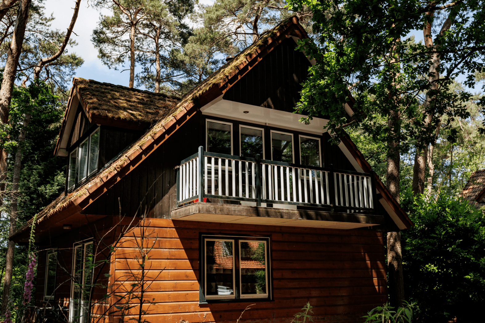  Typ Ontario Comfort-Wohnung