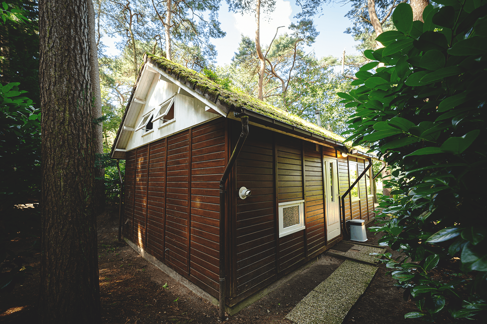  Gemütliches Split-Level Naturhaus am Weideland, hundefreundlich