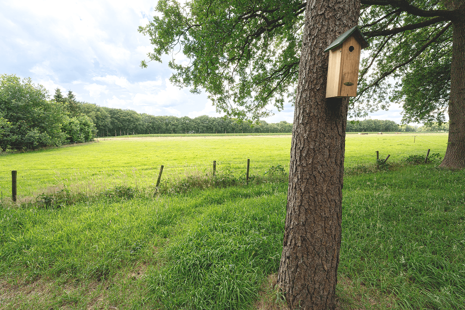 Compleet vakantiehuis Weilandkant