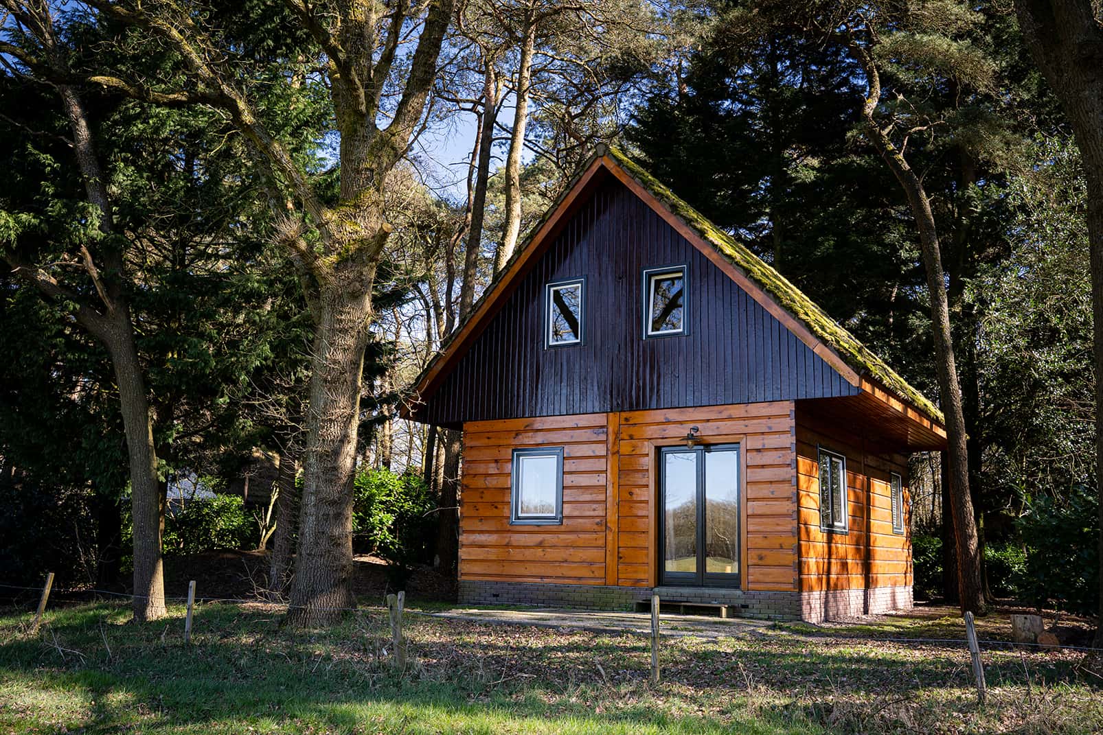 Gemütliches und hundefreundliches Ferienhaus am Feld