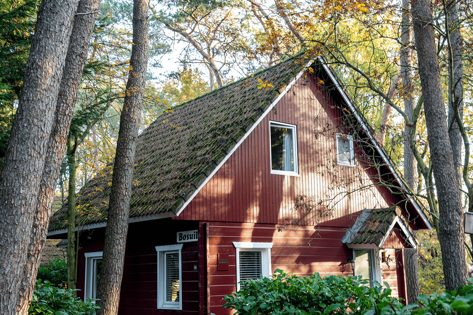 Authentischer schwedischer Bungalow für einen Urlaub mit Hund