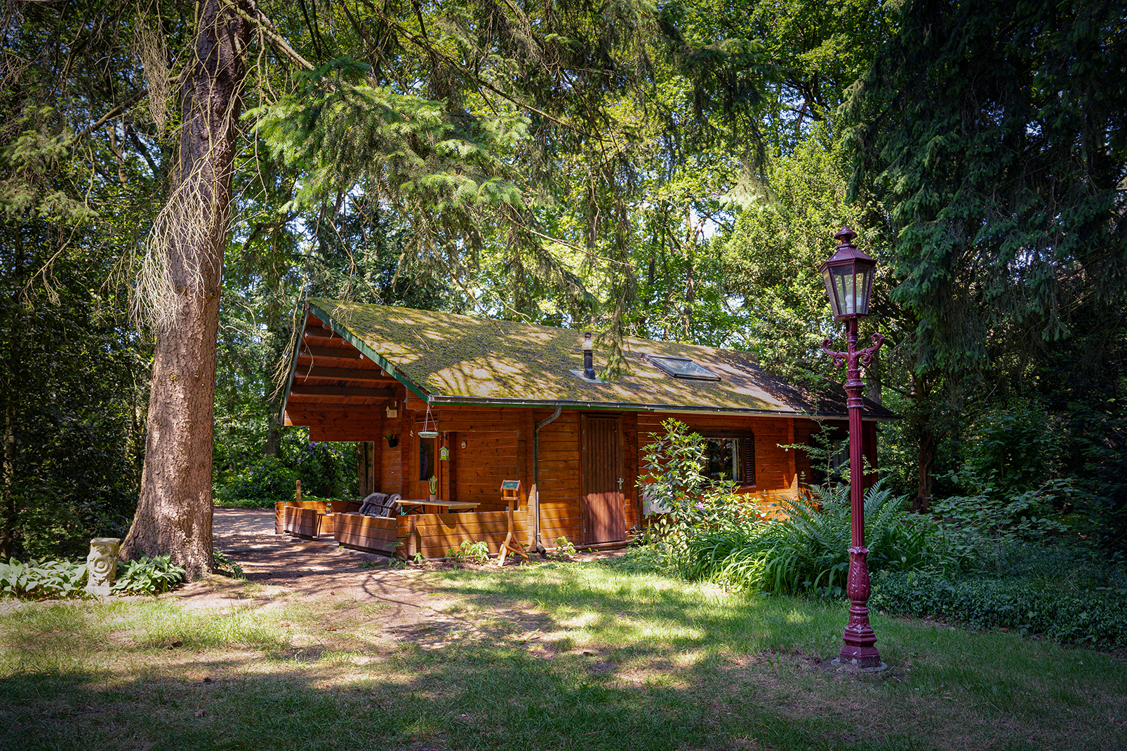 Idyllisches, hundefreundliches Natur-Ferienhaus am Dünenrand