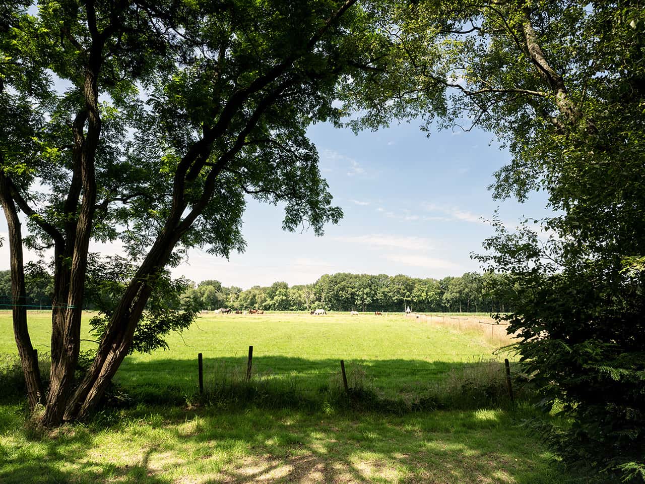 Ebenerdiges Ferienhaus am Wiesenrand