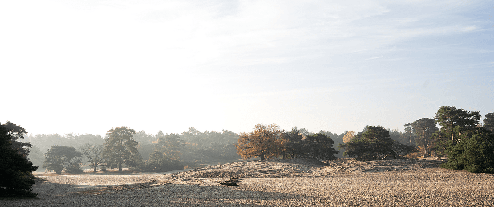 Header afbeelding