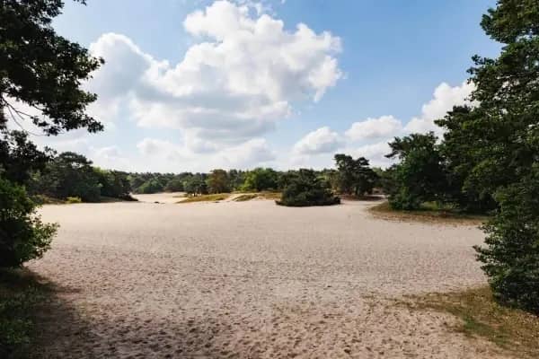 Soesterduinen