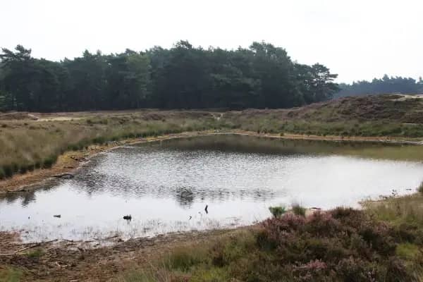 Utrechtse Heuvelrug